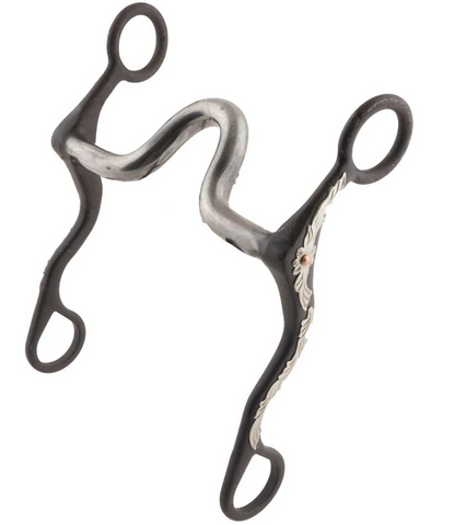Antique Sweet Iron Port Bit