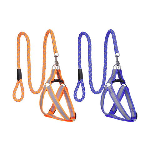 Assorted Dog Harness and Leash Set