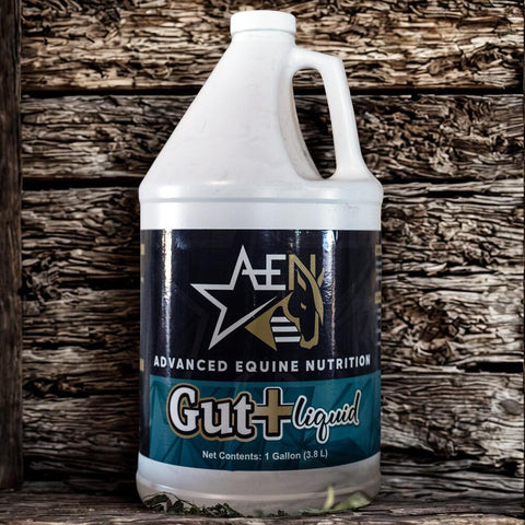 Advanced Equine Nutrition Gut+ Liquid
