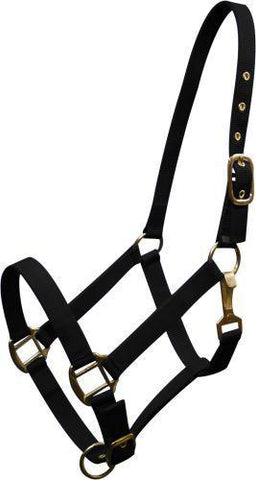 Horse size Triple ply nylon halter with brass hardware