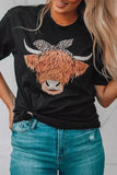SHAGGY COW GRAPHIC T SHIRT